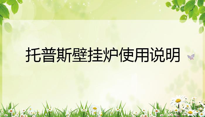 托普斯壁挂炉e5是什么故障
